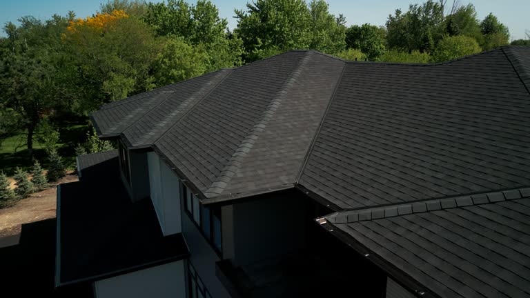 Best Sheet Metal Roofing  in La Junta, CO